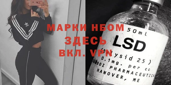 хмурый Пересвет
