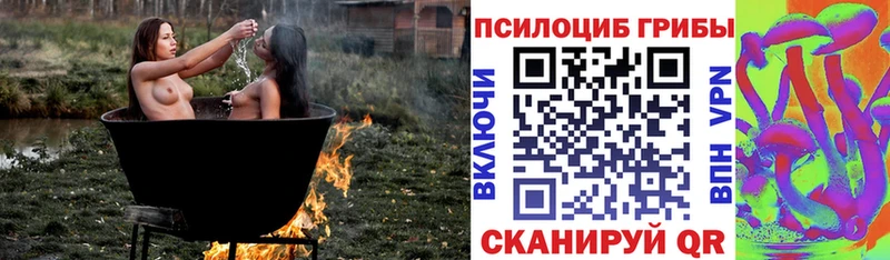 Галлюциногенные грибы ЛСД  где можно купить наркотик  Холм 